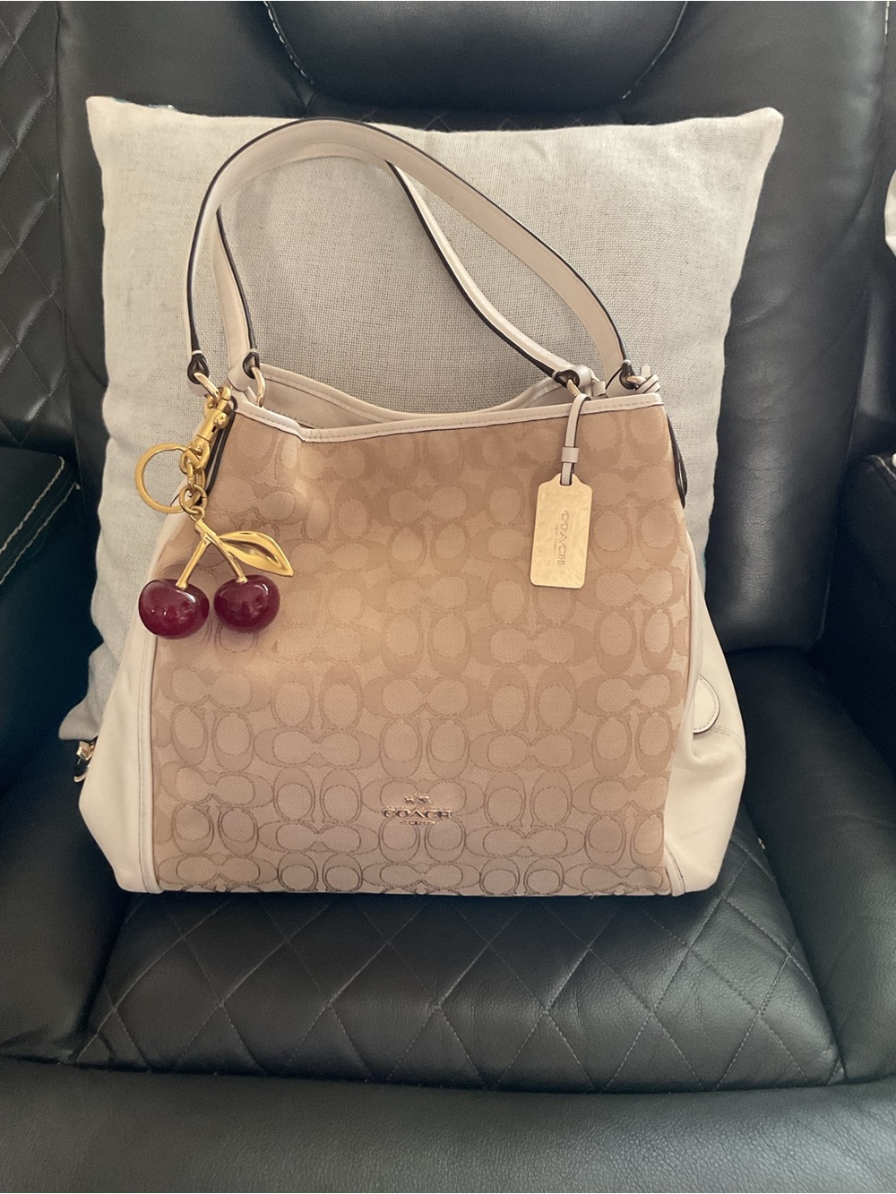Coach Signature Canvas Hobo Bag in Beige and Cream